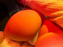 Фото проститутки Карина №2 в городе Бийск